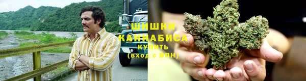 прущие грибы Белокуриха