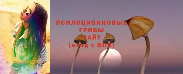 мдпв Бугульма
