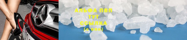 jwh Бородино
