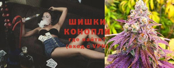 мдпв Бронницы