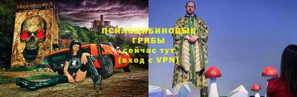 мдпв Бугульма
