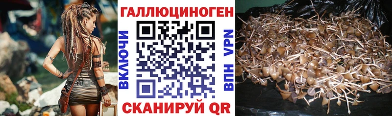 Псилоцибиновые грибы ЛСД  Заводоуковск 