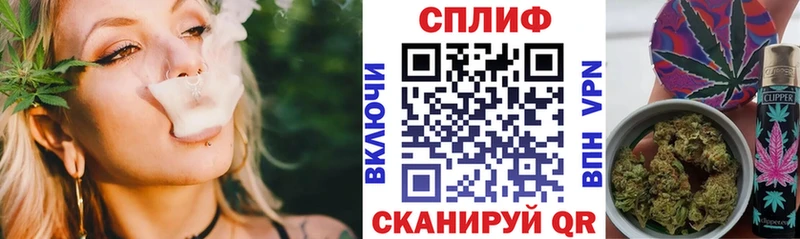 как найти закладки Заводоуковск Конопля SATIVA & INDICA